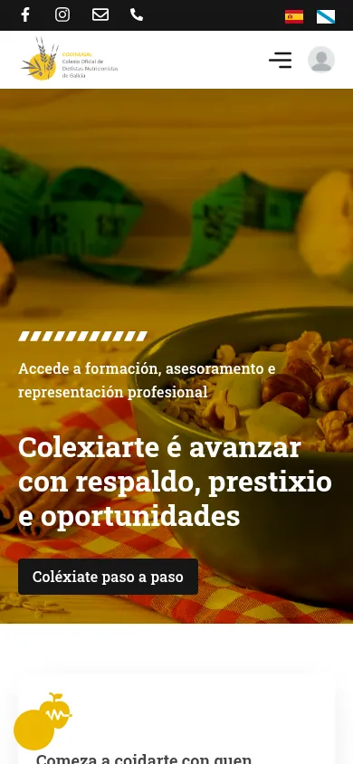 Captura da web de Colexio Oficial de Dietistas-Nutricionistas de Galicia en móbil