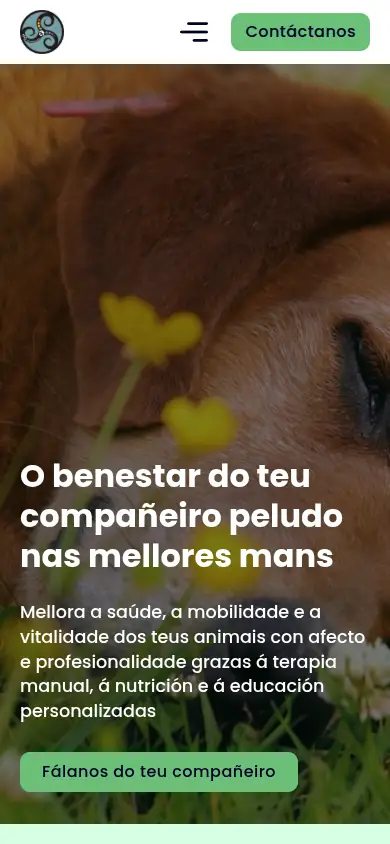 Captura da web de Nas Nosas Mans en móbil