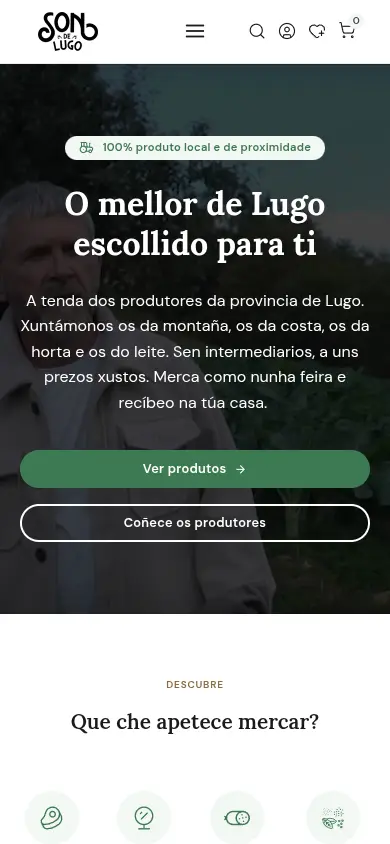 Páxina web Son de Lugo