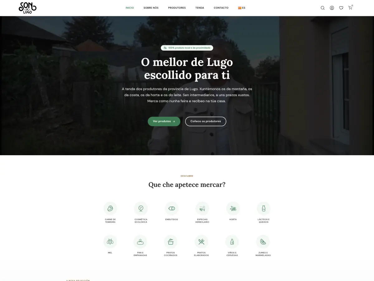 Páxina web Son de Lugo