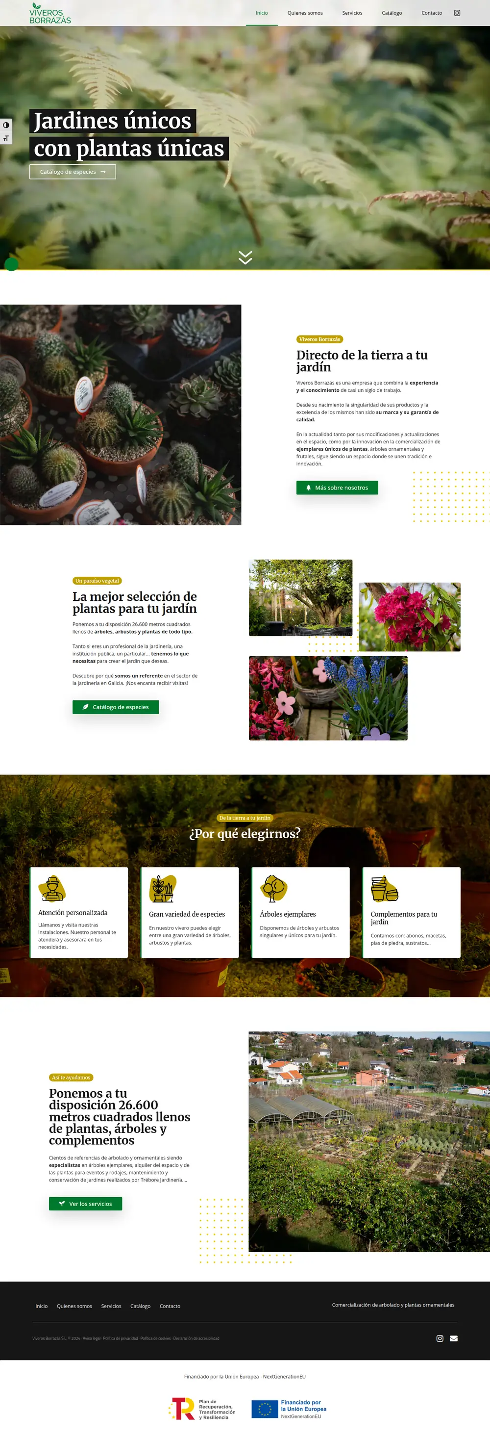 Captura da web de Viveros Borrazás S.L. en escritorio